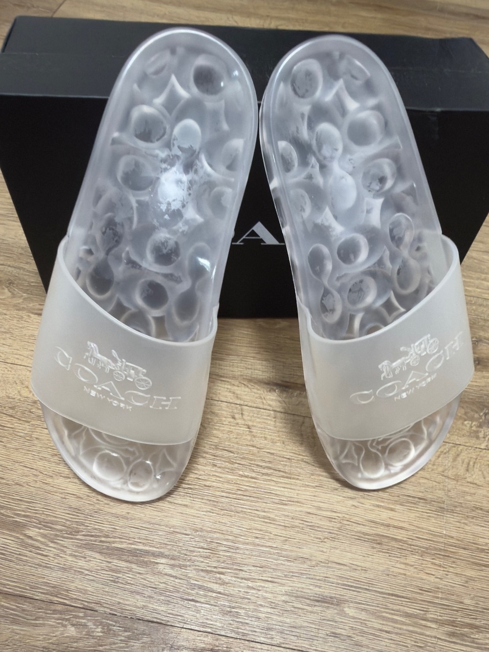 Coach Translucent Clear Slide Sandals - Frosted Clear